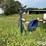 lewis-cattle-oiler-image-2