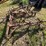 #9906-•-allis-chalmers-cultivator-image-2