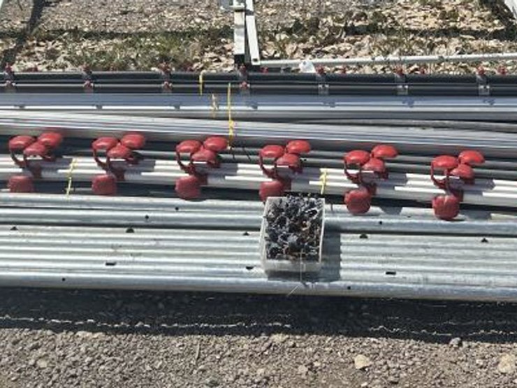 #80-•-chicken-watering-system-w/-pvc-&-galvanized-pipe-image-1