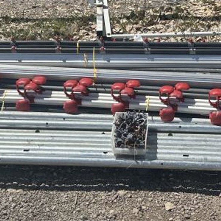 #80 • Chicken Watering System w/ PVC & Galvanized Pipe