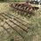 ih-cultivator-8248-image-4