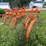 #9916-•-allis-chalmers-snap-coupler-field-cultivator-image-5