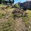 #9906-•-allis-chalmers-cultivator-image-4
