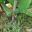 john-deere-65-image-18
