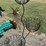 #158-•-metal-art---(3)-flower-pot-stand-image-3
