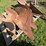 #9910-•-allis-chalmers-snap-coupler-4-bottom-plow-image-8