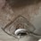 #9954-•-ihc-milk-bucket-image-3