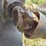 arps-phd103-3-pt-post-hole-digger-image-7