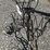 #161-•-metal-art---tricycle-w/-(3)-flower-pots-image-3