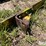 john-deere-10-image-9