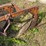 #9907-•-allis--chalmers-3-bottom-plow-image-8