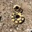 john-deere-9-image-8