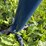 lewis-cattle-oiler-image-16