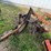 #9907-•-allis--chalmers-3-bottom-plow-image-7