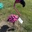 #116-•-metal-art---flamingo-bobble-head-image-1