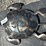 #155-•-metal-art---large-brown-turtle-image-1