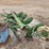 john-deere-three-point-four-bottom-plow-image-4