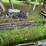 hagie-2100-image-9