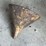 galvanized-steel-and-metal-funnel-lot-garage-automobilia-image-2