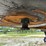 1991-birmingham-t/a-fixed-neck-lowboy-image-8