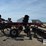 2025-case-ih-ecolo-tiger-875-image-4