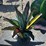 #146-•-metal-art---multi-color-aloe-or-yucca-plant-image-3