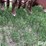 international-150-image-16