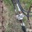 international-150-image-12