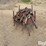 steel-fence-posts-image-11