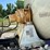 1995-mack-dm690s-image-25