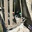 1998-mack-dm690s-image-27