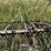 john-deere-dump-day-rake-6972-image-11
