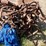 #9939-•-allis-chalmers-front-mount-cultivator-image-5
