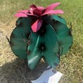 equipment-&-auto-consignment-auction---ring-1-image-1