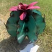 equipment-&-auto-consignment-auction---ring-1-image