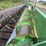 john-deere-930-image-13