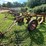 #9915-•-allis-chalmers-3-bottom-plow-image-1