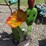 #113-•-metal-art---medium-cactus-w/-yellow-flower-image-1