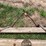 #9960-•-antique-vise-and-sweep-image-5