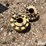 john-deere-9-image-7