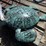 #117-•-metal-art---medium-teal-turtle-image-1