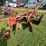 allis-chalmers-2-image-5