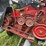 case-ih-1020-image-13