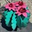 #152-•-metal-art---medium-cactus-w/-pink-flowers-image-3