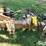 noble-ro-runner-image-11