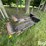 hagie-2100-image-3