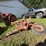 #9910-•-allis-chalmers-snap-coupler-4-bottom-plow-image-5