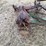 john-deere-sickle-bar-mower-image-15