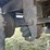 2012-timpte-super-hopper-bottom-image-18