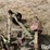 john-deere-no.5-image-10